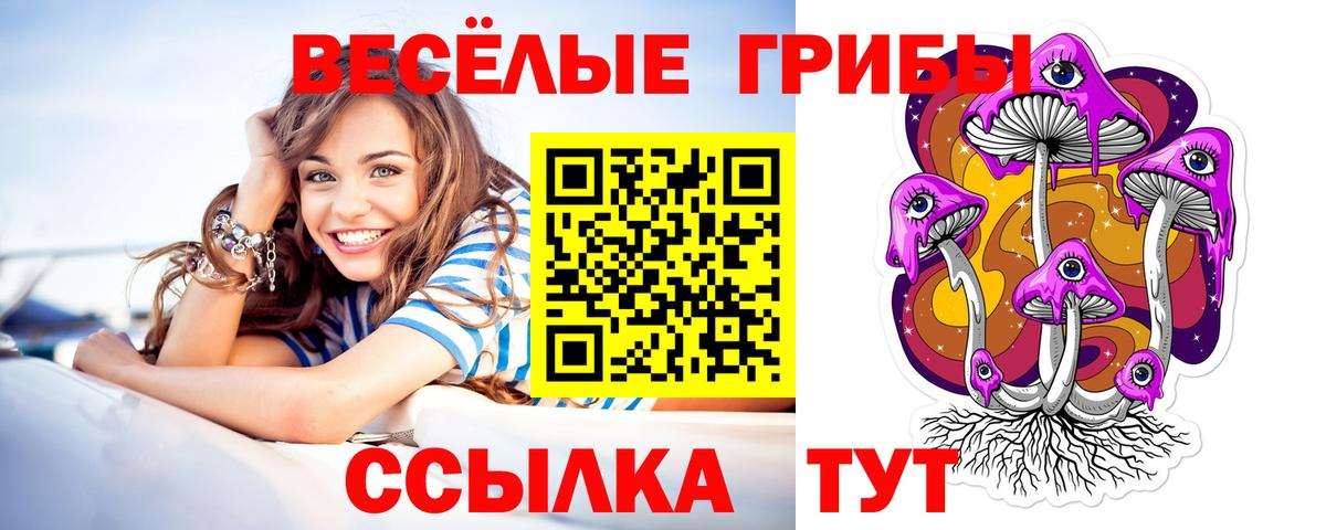 Псилоцибиновые грибы Psilocybe Всеволожск