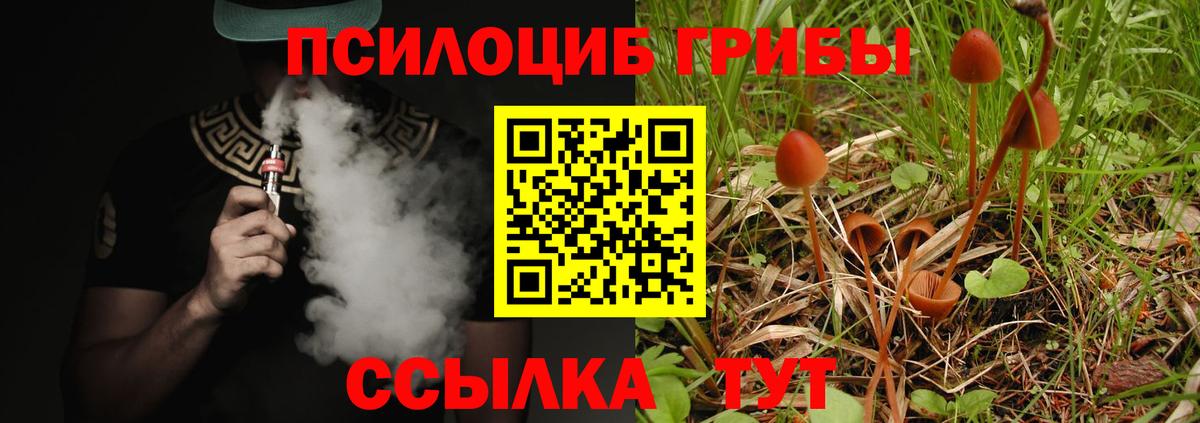 Галлюциногенные грибы Psilocybe  Вход с VPN  Галлюциногенные грибы прущие грибы  Всеволожск 