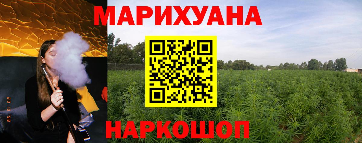 МАРИХУАНА конопля Всеволожск